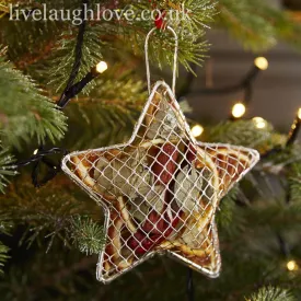 14.5cm Silver Mesh Star Ornament with Dried Fruit – Christmas Tree Decoration ***Clearance***