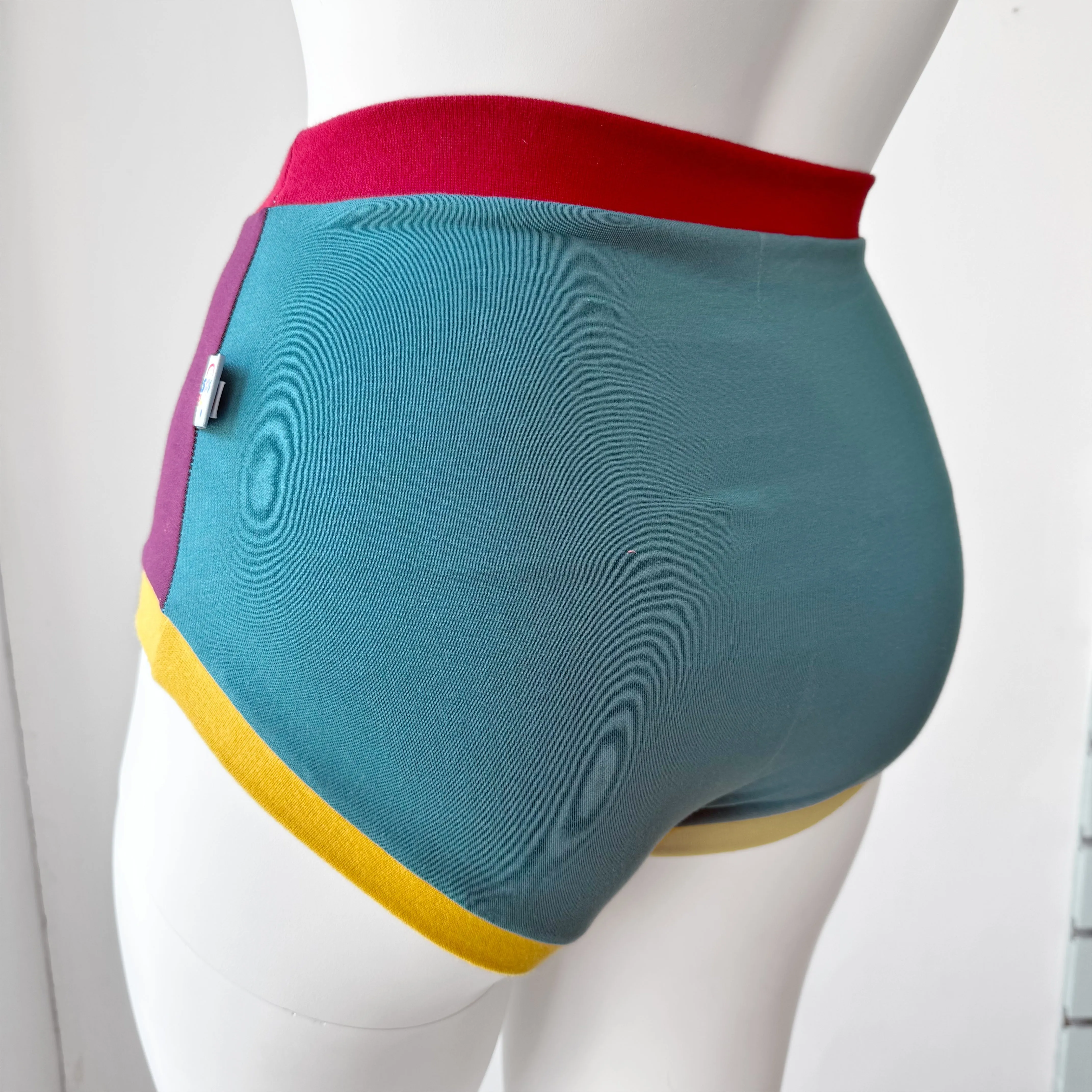 Colour Block High Waisted Adult Pants | Women's Knickers | Organic Cotton Underwear