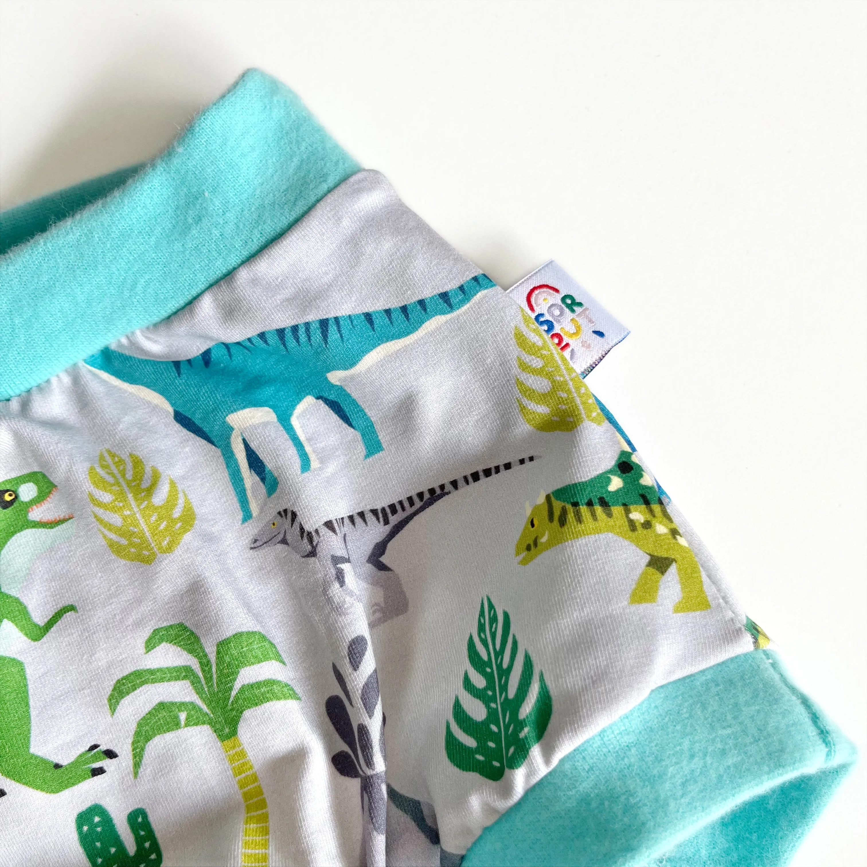 High Waisted Dinosaur Pants | Women's Knickers | Organic Cotton Underwear
